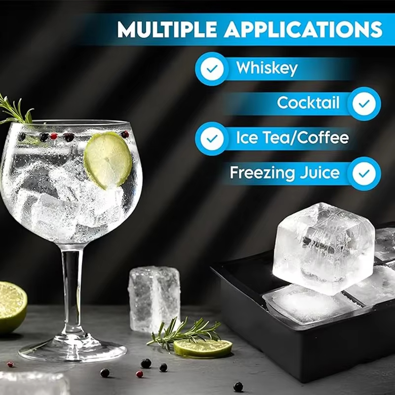 6/8/15 Grids Big Ice Food Mold - Wine Beer Refrigerator recensione e prezzo