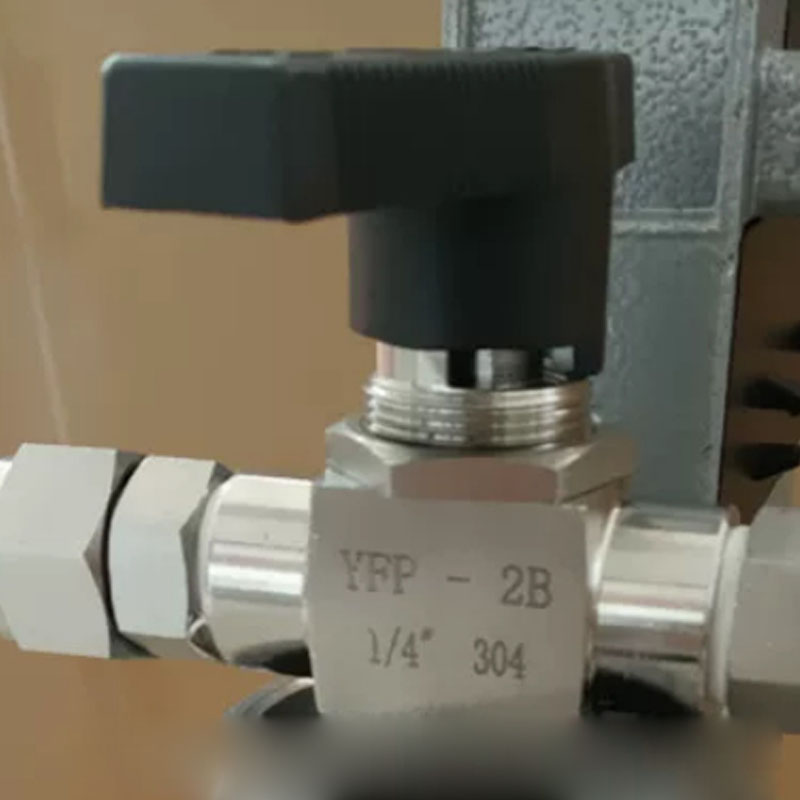 Manual Bottle Cork Pressing Ma - Wine In Beer Bottle recensione e prezzo